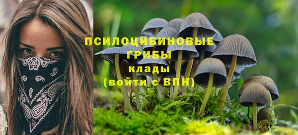 экстази Арсеньев